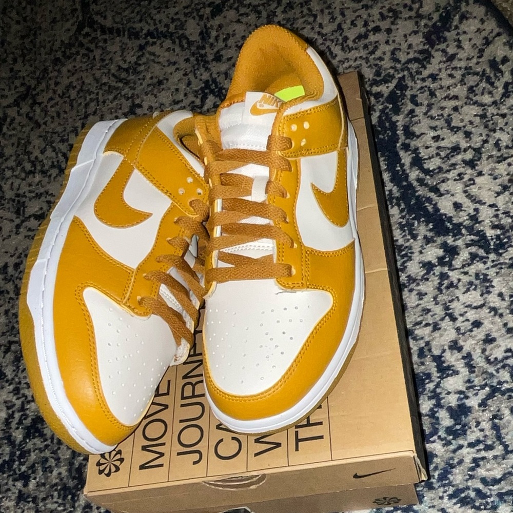 BNWT Nike Dunks